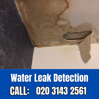 Expert Water Leak Detection Services in East Bedfont | East Bedfont Leak Detection